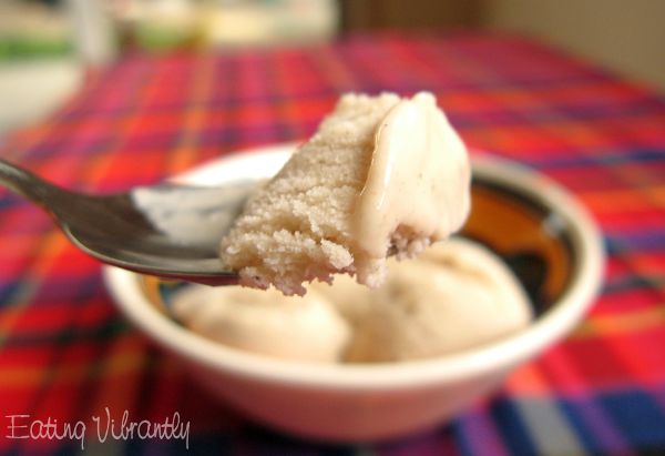 A spoonful of coconut vanilla ice cream