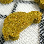 Raw Veggie Burger Car (square)